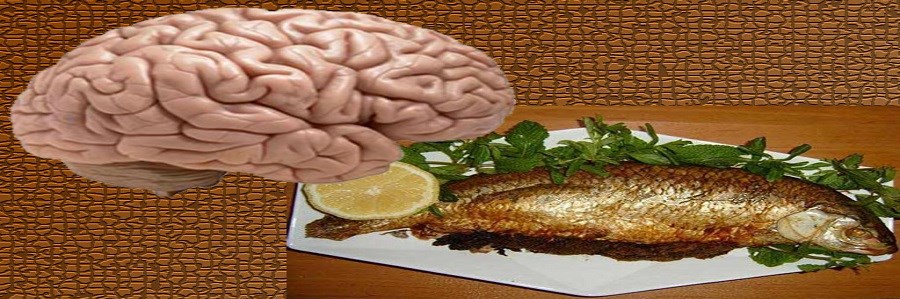 برای سلامت مغز هفته ای یکبار ماهی آبپز یا کبابی بخورید