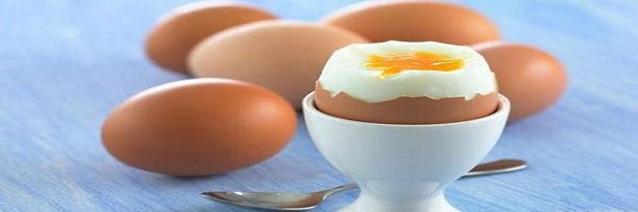 مصرف تخم مرغ خطر اختلالات حافظه را افزایش نمی دهد.