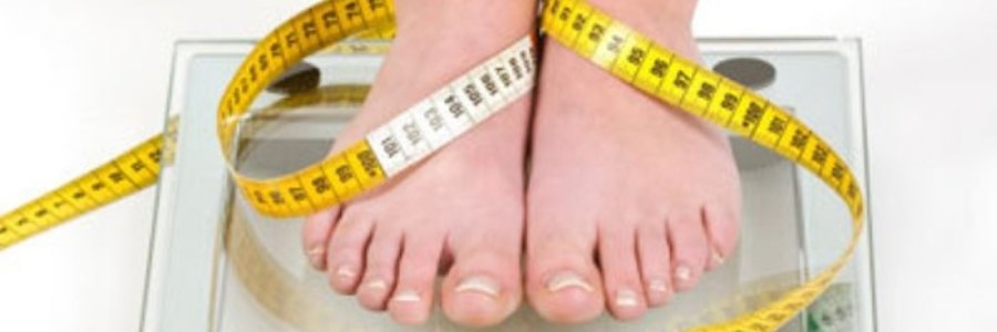 کاهش وزن بدون شمارش کالری